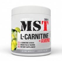 MST L-Carnitine+Amino 300 g
