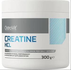 Ostro Vit Creatine HCL 300 g