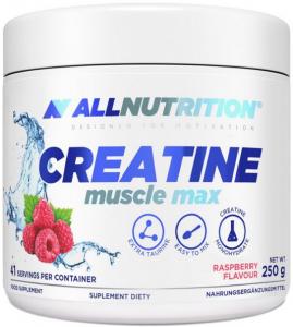 All Nutrition Creatine Muscle Max 250 g