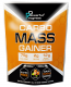 Powerful Progress Carbo Mass Gainer 2000 г